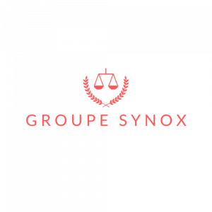 Groupe synox-logo